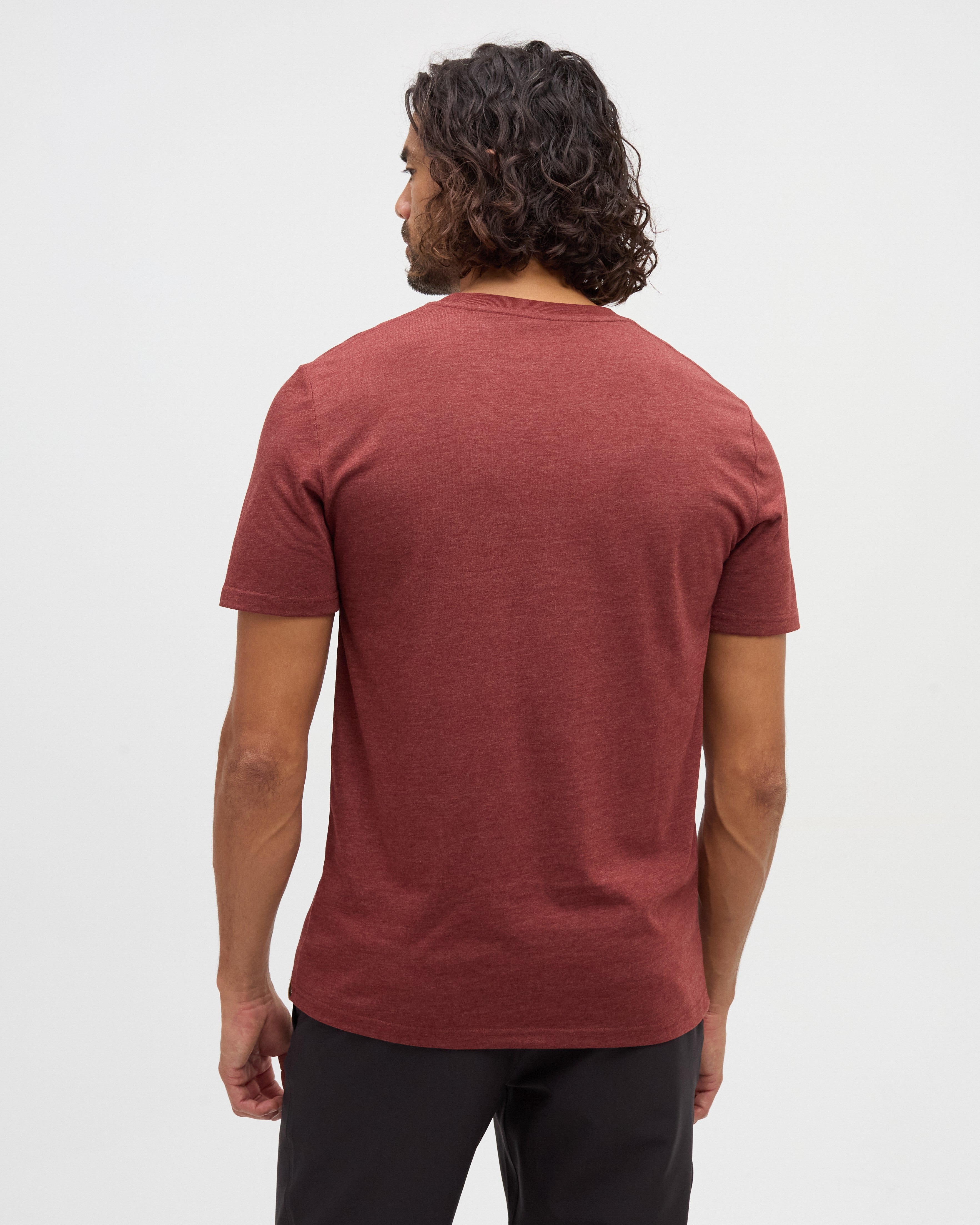 Tentree Sasquatch T-Shirt Cottage Red Heather Mountain Bike - back