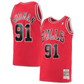 Mitchell & Ness Chicago Bulls Dennis Rodman Hardwood Classics Swingman Jersey