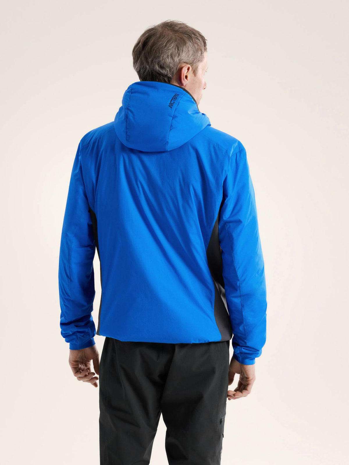 Arc'teryx Men's Atom Hoody - Fluidity/Black Sapphire - back