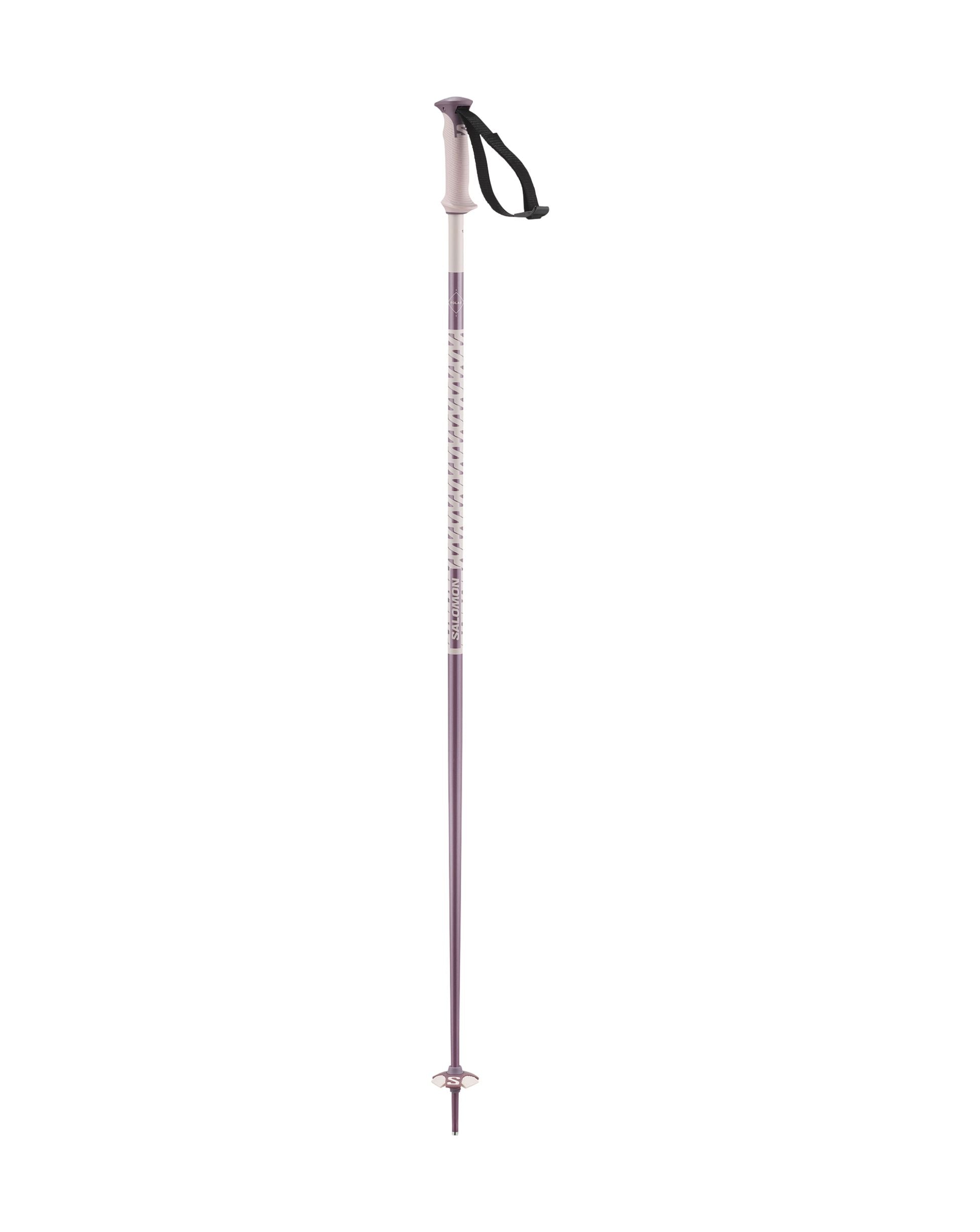 Salomon Polar unisex alpine ski poles