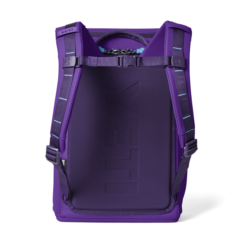 Yeti Daytrip 20L Insulated Backpack