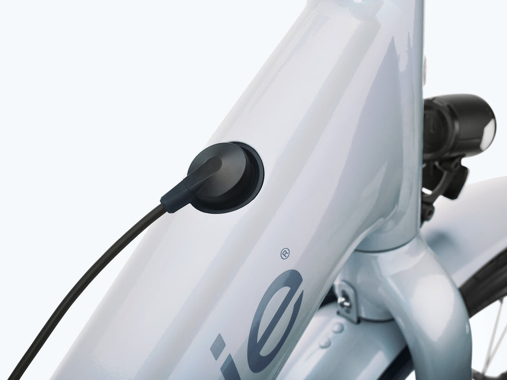 Electra Townie Go! Throttle