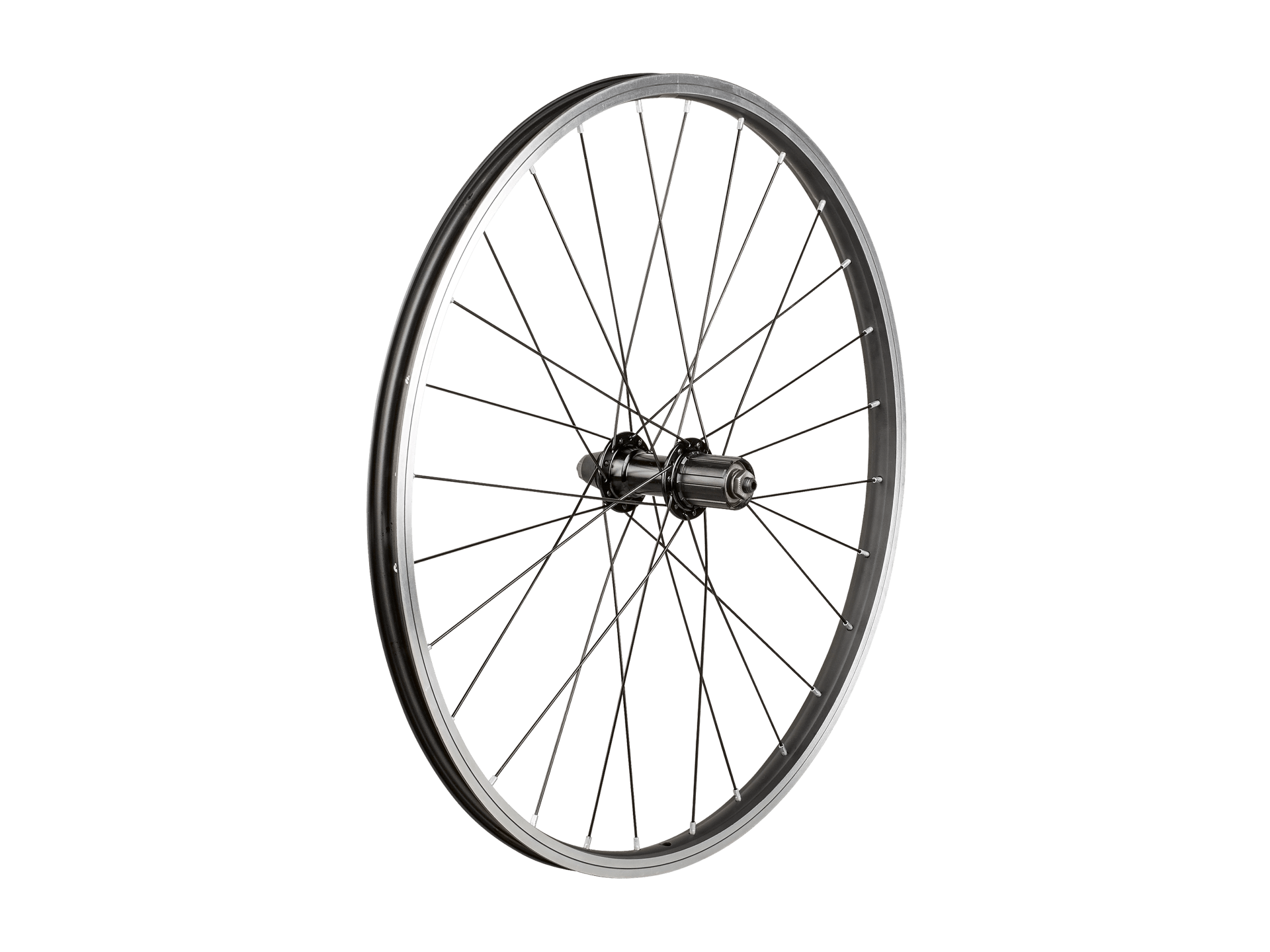 Trek Kids' 28 Hole 24˝ Wheel