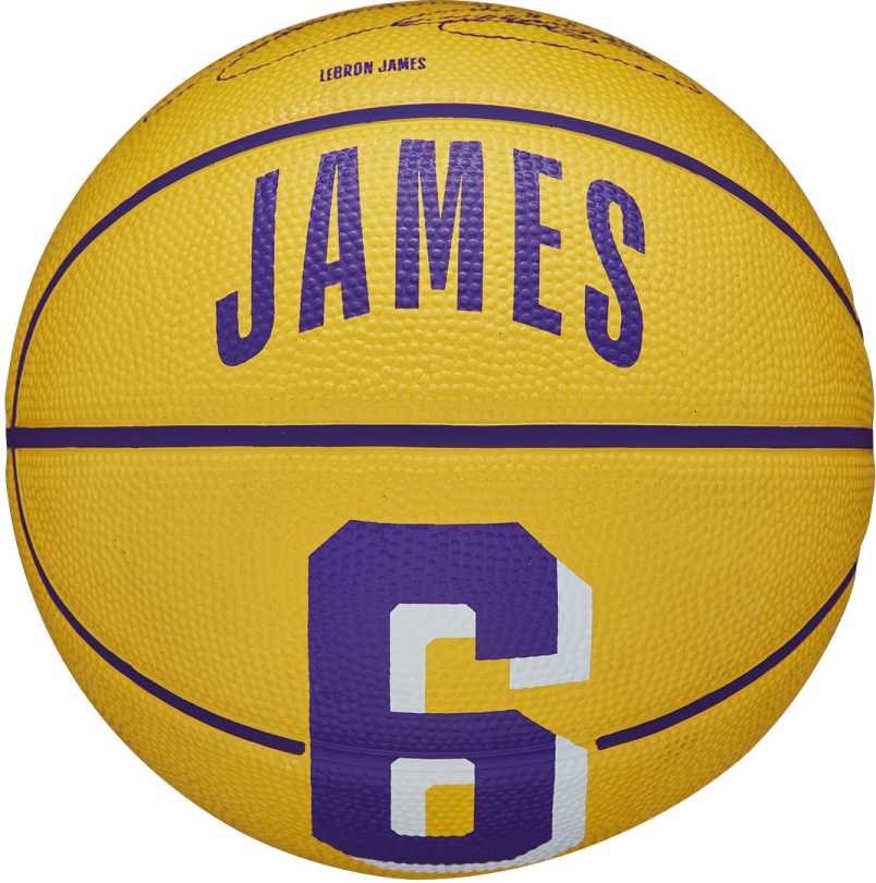 NBA Player Icon Mini Basketball