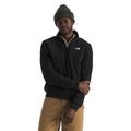 The North Face Men’s Evolution Simple Dome Regular ¼-Zip