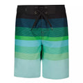 Quiksilver Boys' Everyday Straight Boardshorts