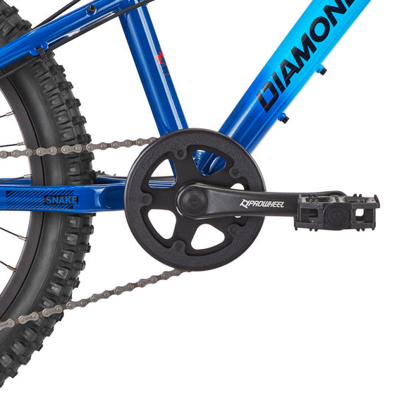 Diamondback Junior Snake Mountain Bike - 20"