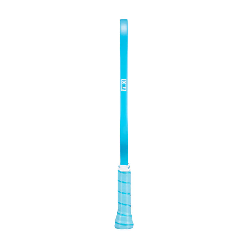 Joola Dash Pickleball Paddle