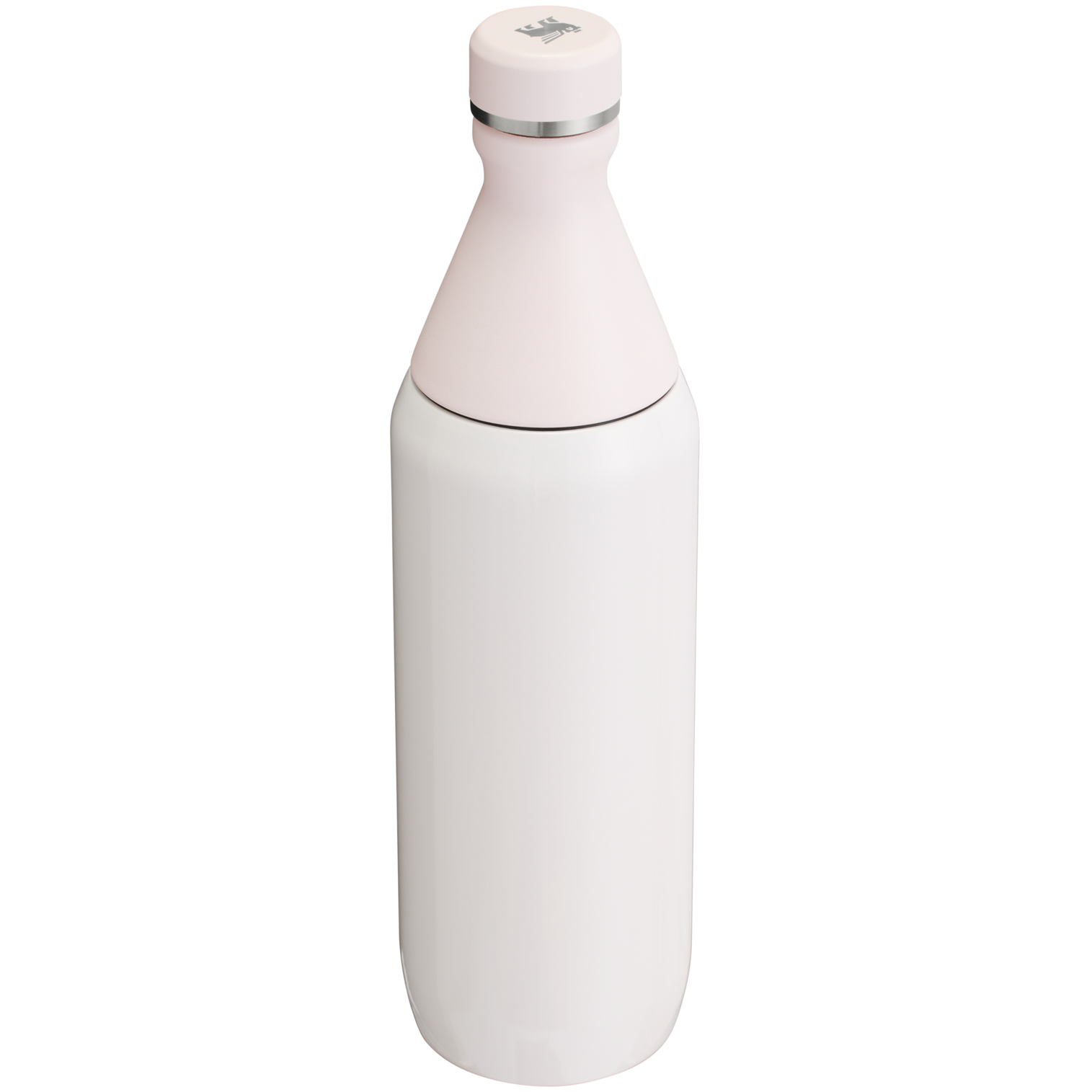 Stanley All Day Slim Bottle 20oz