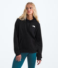 The North Face Women’s Evolution Box NSE Fill Graphic Hoodie