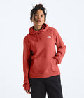 The North Face Women's Evolution Box NSE Fill Light Hoodie