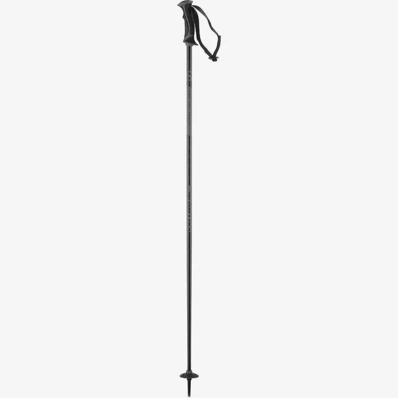 Salomon Women's Arctic Lady Alpine Ski Poles