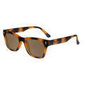 Knockaround Seventy Nines - Cypress Tortoise