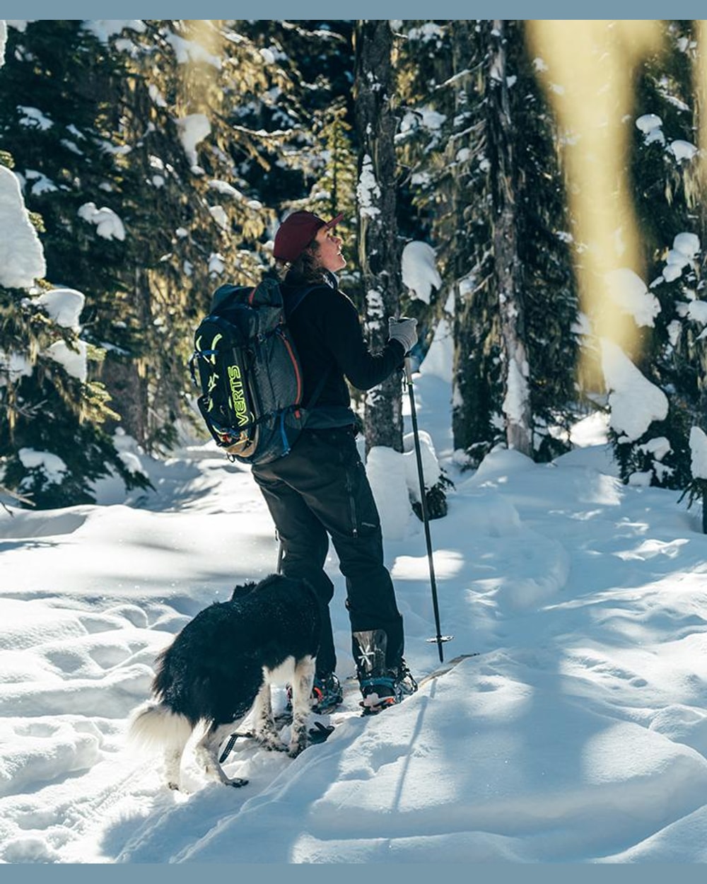 Angusta Splitboard Climbing Skins