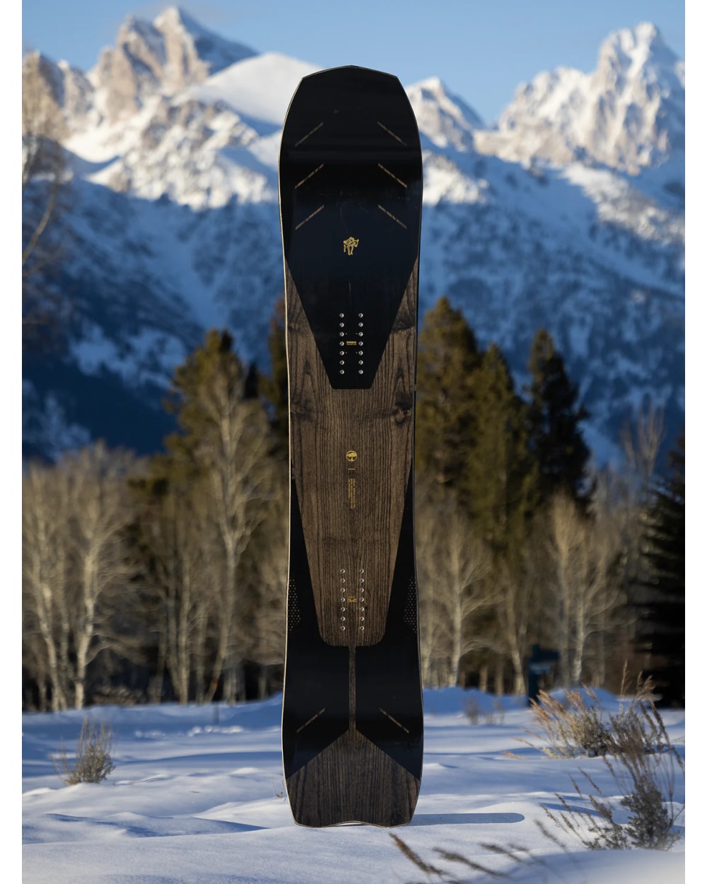 Arbor Bryan Iguchi Pro Snowboard - 2025