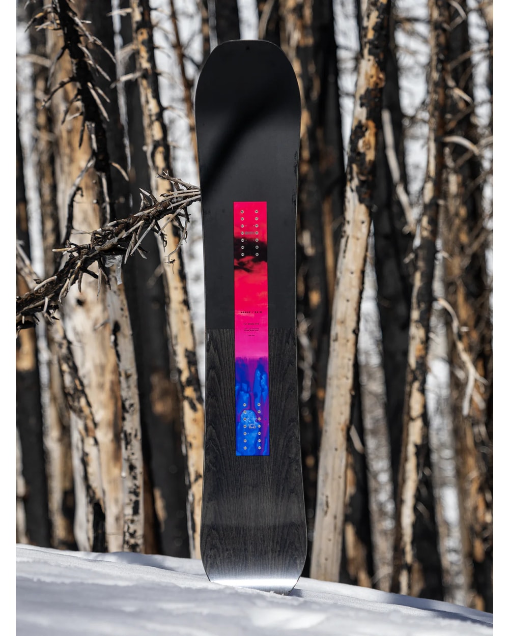 Arbor Rain Snowboard - 2025