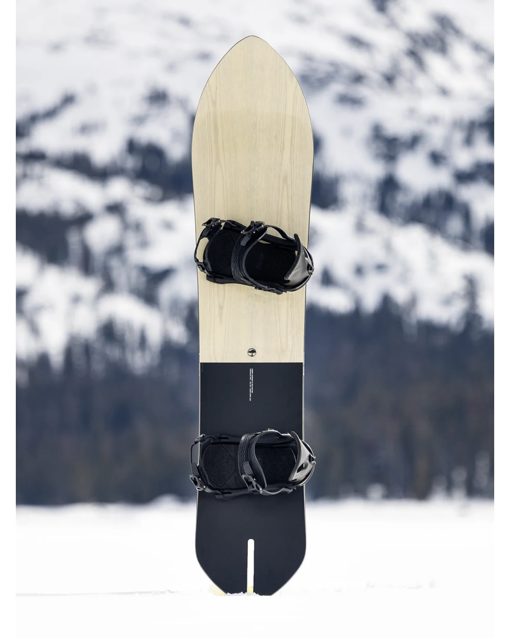 Arbor Terrapin PFD Snowboard - 2025