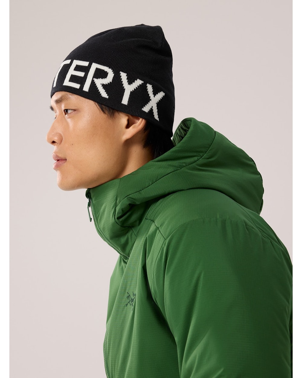 Arc'Teryx Word Head Toque