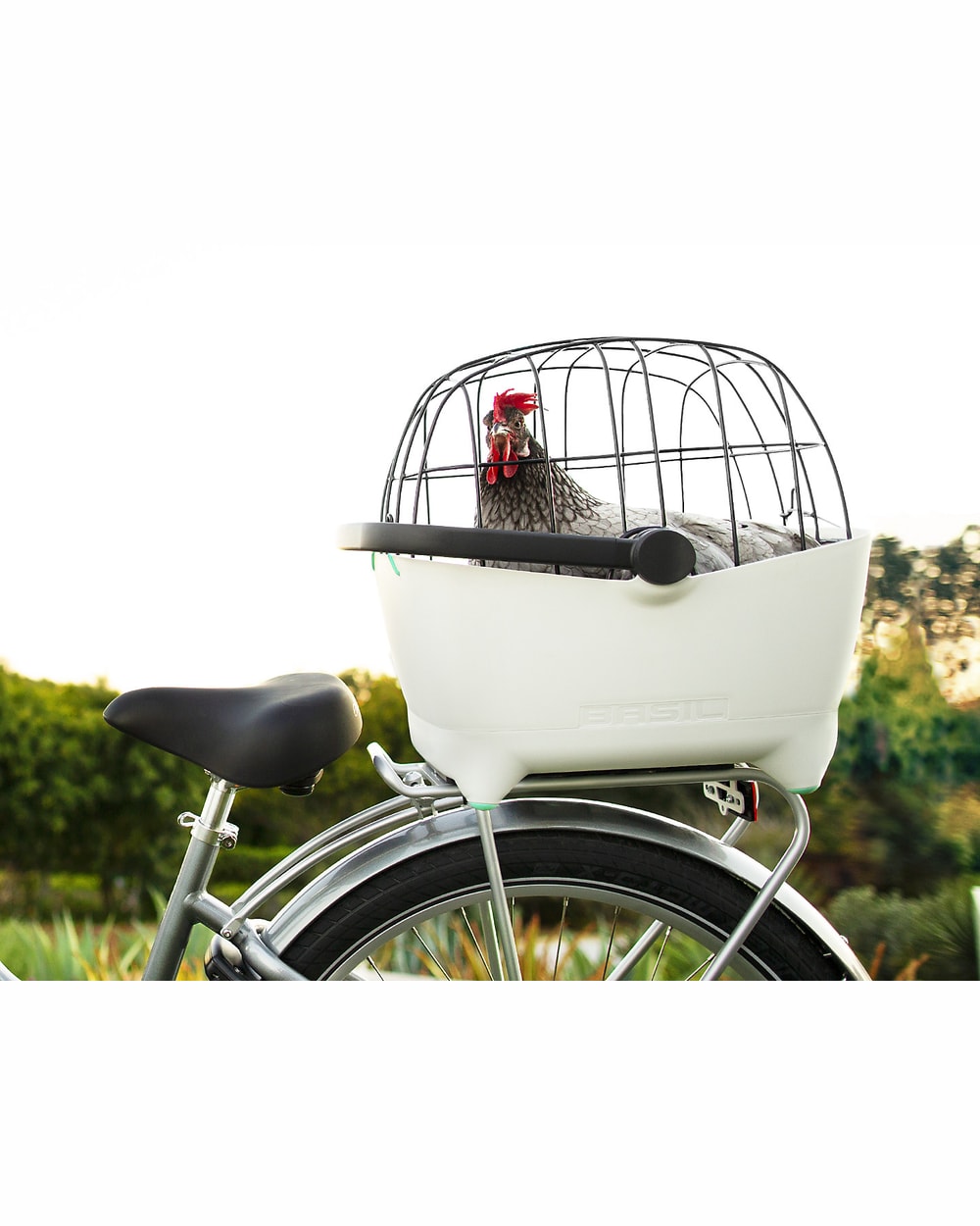 Electra Basil Pet Carrier