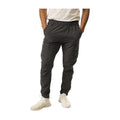 Bauer FLC Travel Pant Volcano Grey, front view