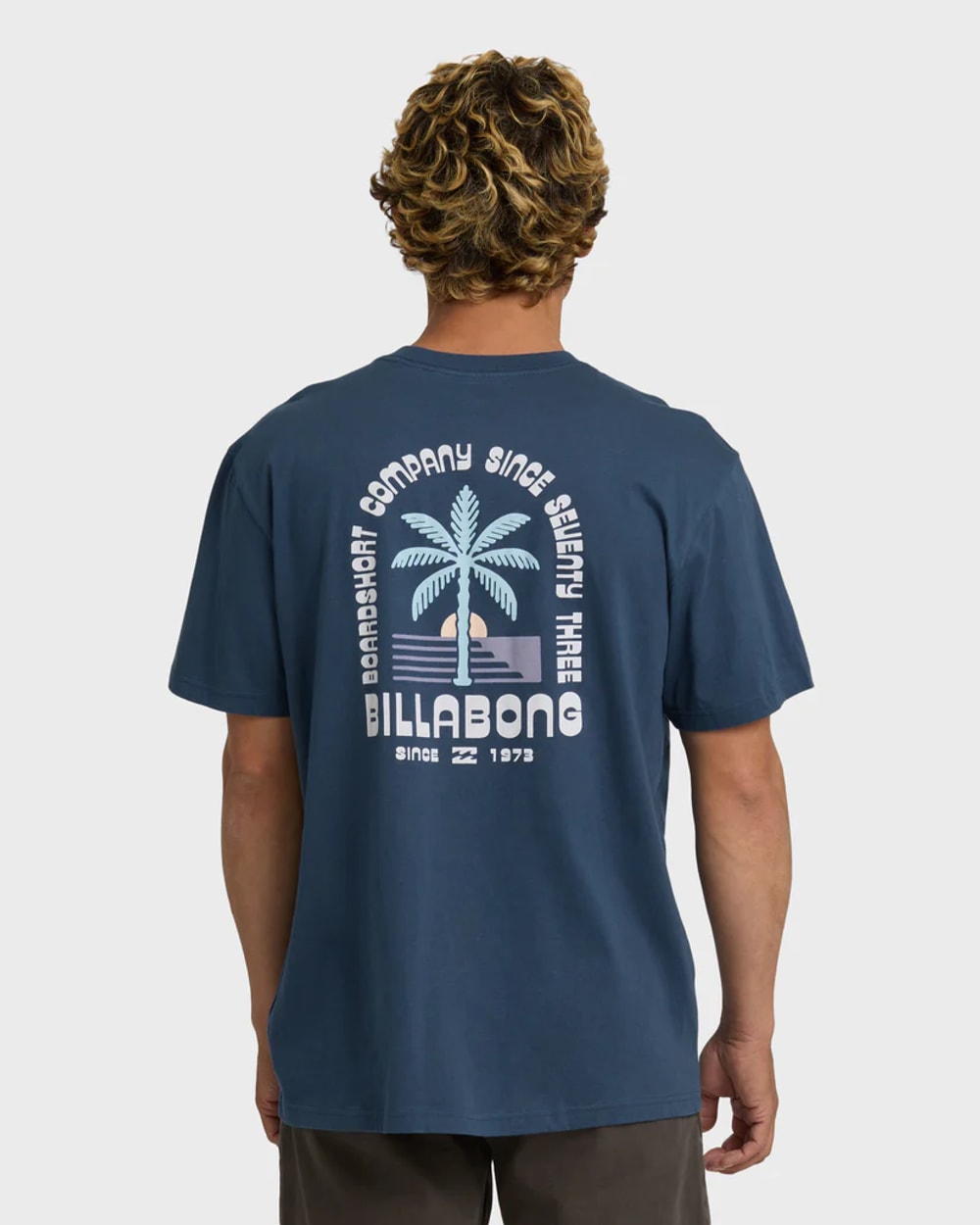 Billabong Portal Premium Men's Short Sleeve T-Shirt