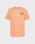 Billabong Toddler Boys' Heritage Arch Short Sleeve Tee, Faded Orange, front