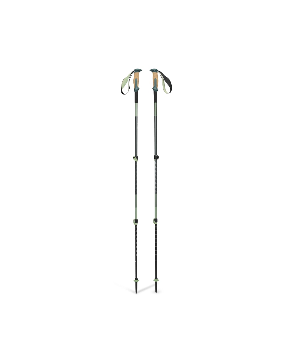 Black Diamond Trail Vista Shock Trekking Poles