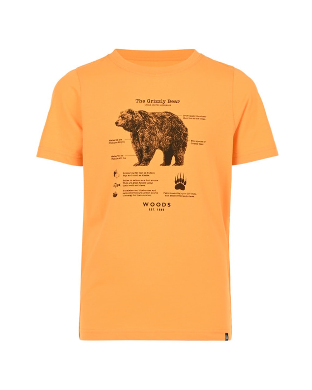 Ripzone Boys' Cayley T-Shirt