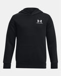 Under Armour Boys' Icon Fleece Hoodie