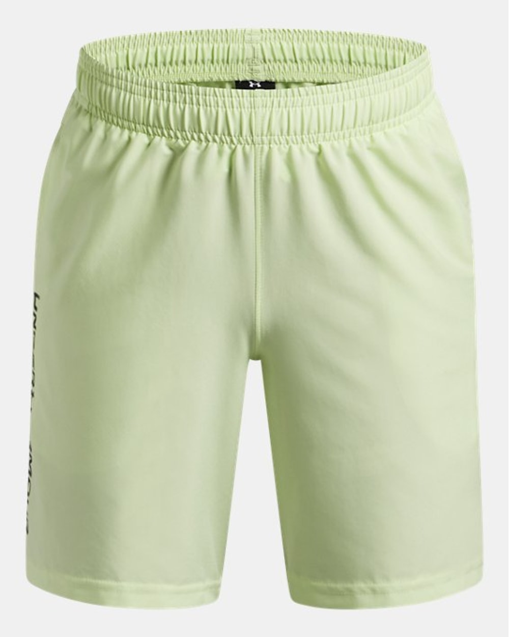 Under Armour Boy's Tech Woven Wordmark Shorts