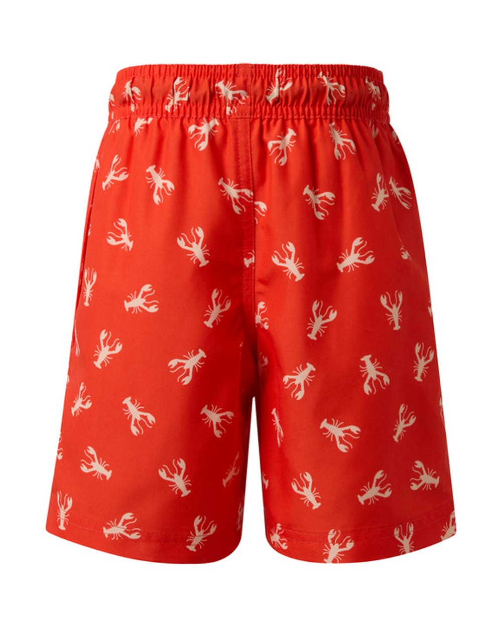 Ripzone Boy's Terrance Boardshorts