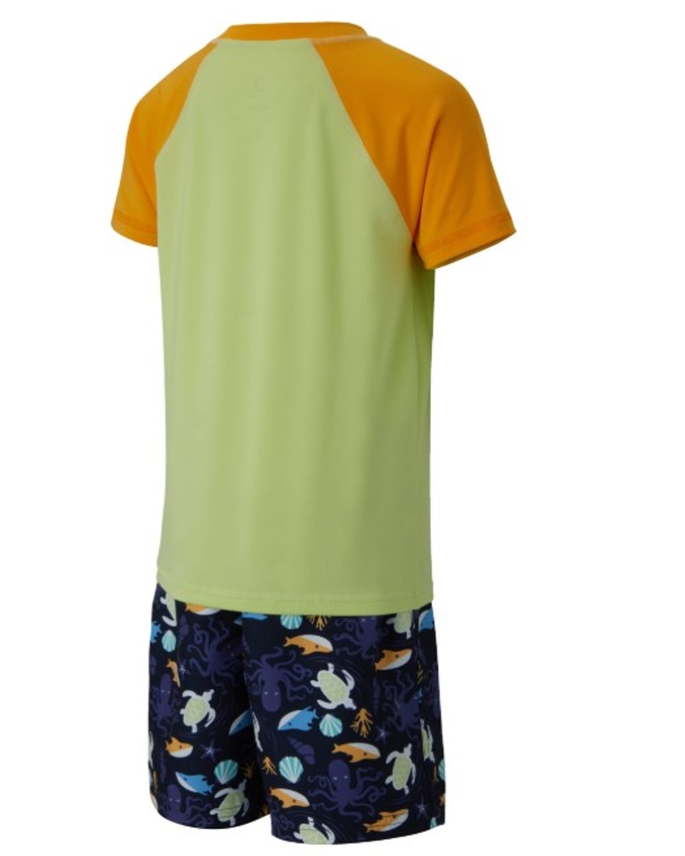 Boy's Toddler Cove 2-Piece Swimsuit Set