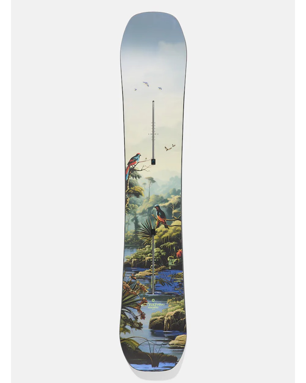 Burton Men's Custom Camber Snowboard - Jungle, topsheet view