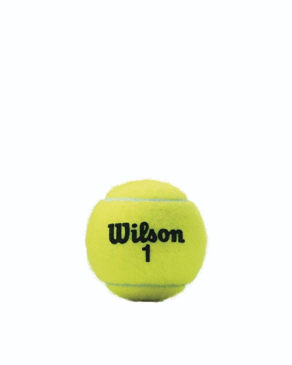 Wilson Championship Extra Duty Tennis Ball - 4 Ball Can