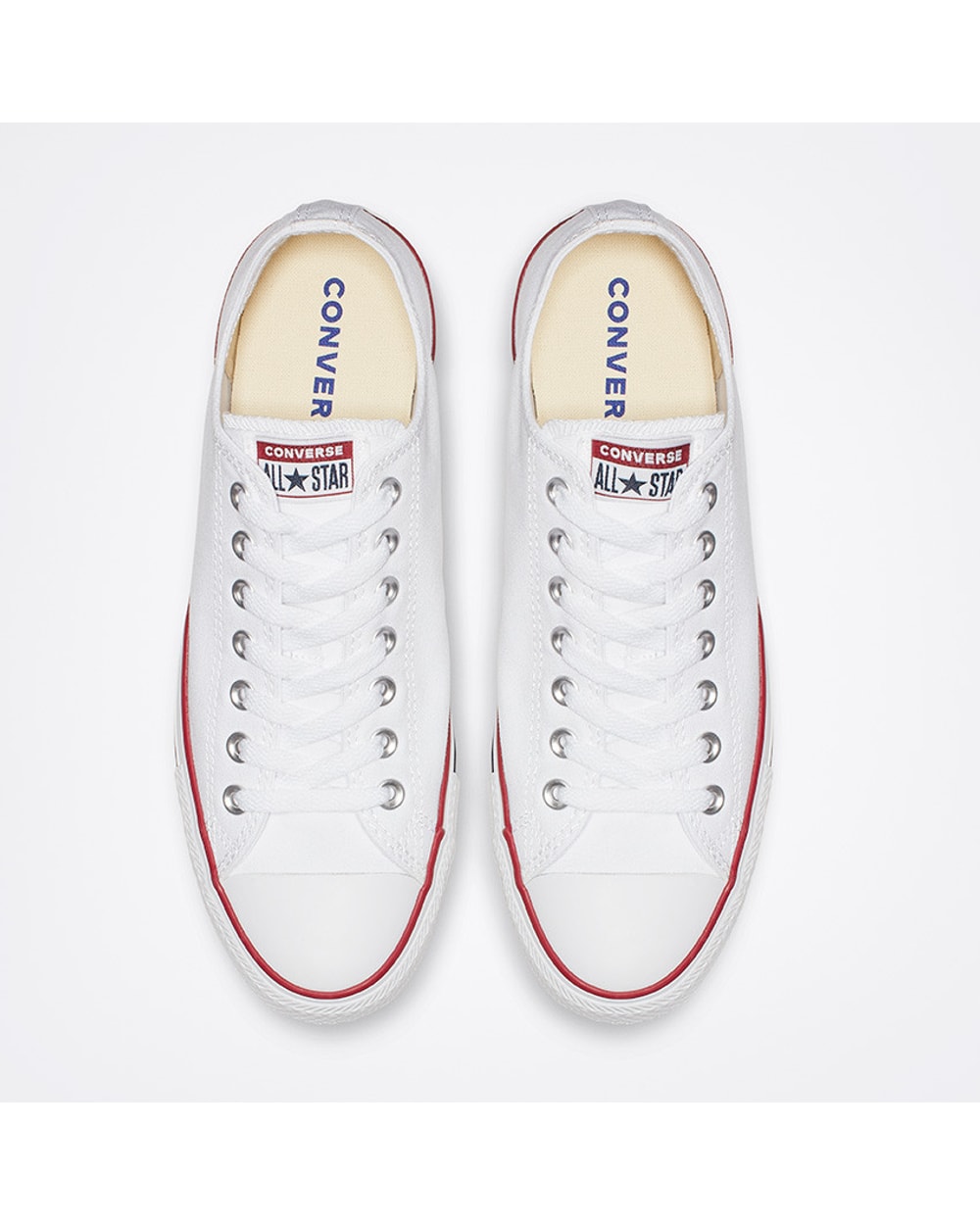 Chuck Taylor All Star Mono Canvas Low Top