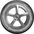Continental Contact Tire