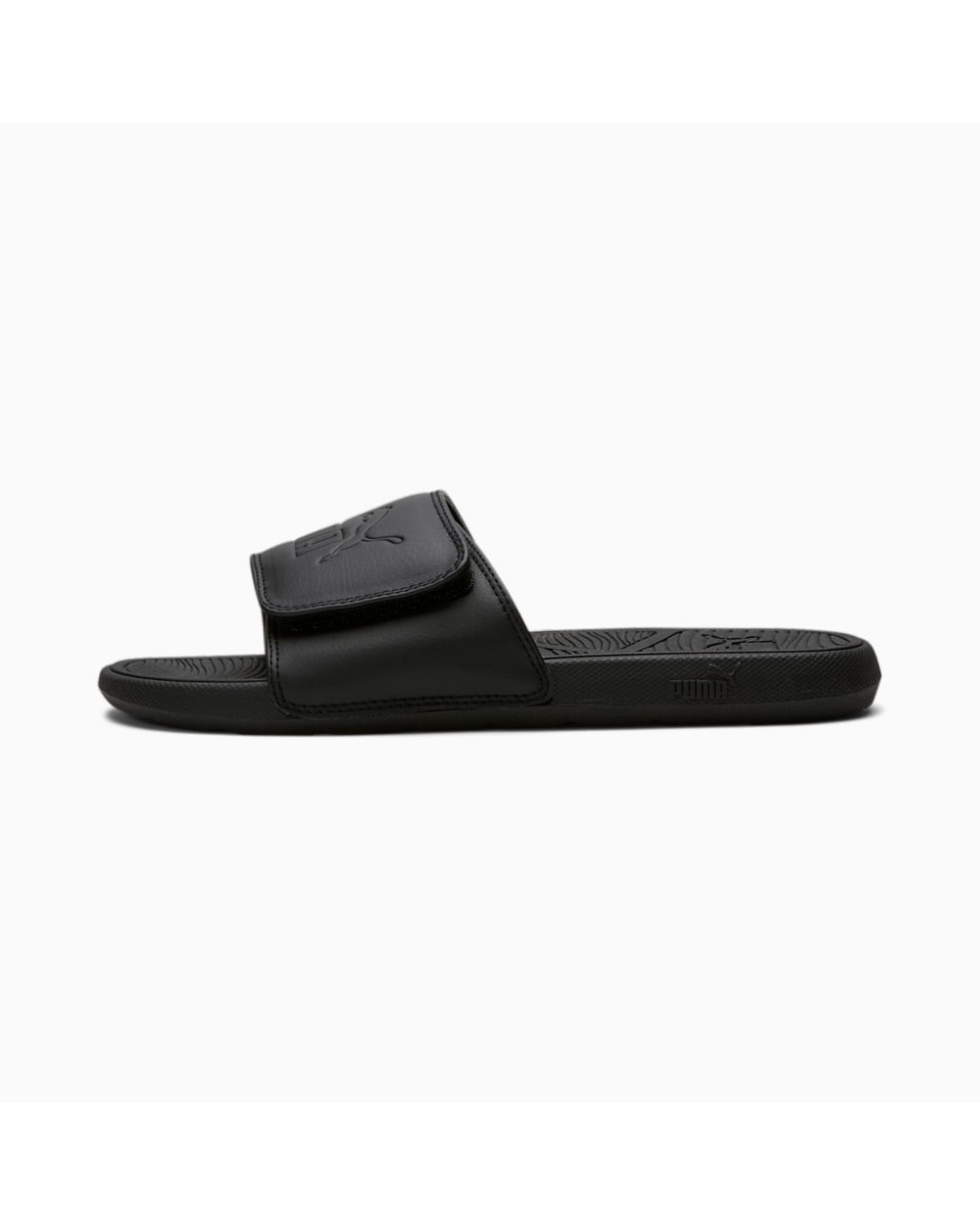 Cool Cat 2.0 Slides