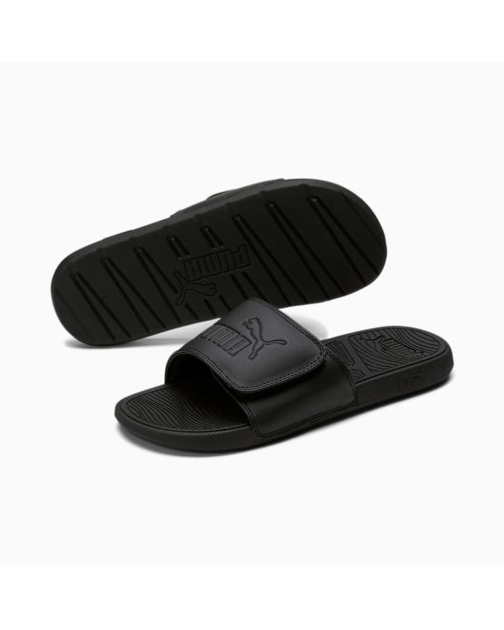 Cool Cat 2.0 Slides