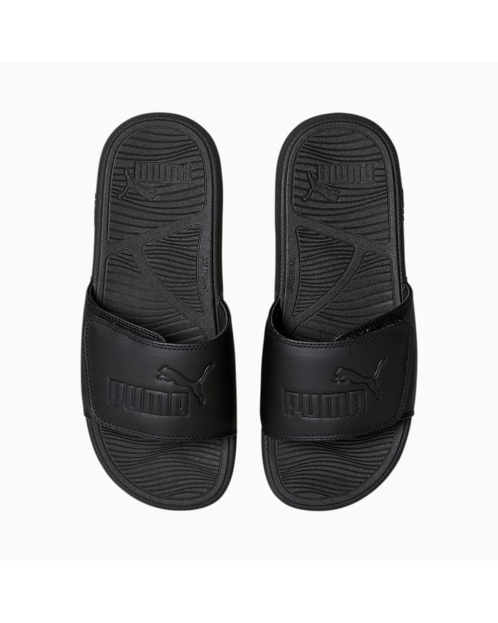 Cool Cat 2.0 Slides