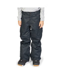DC Banshee Snow Pants - Black