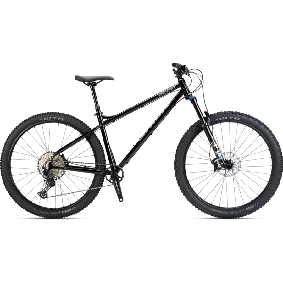 Jamis Dragon Mountain Bike