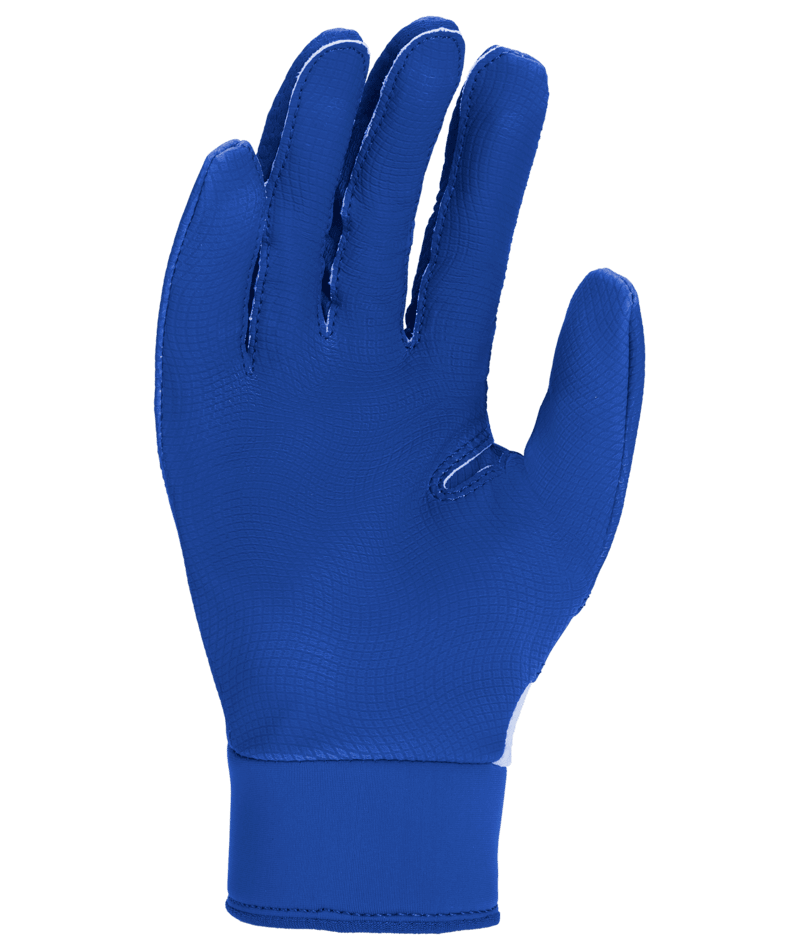 Nike Youth Alpha 2.0 Batting Gloves