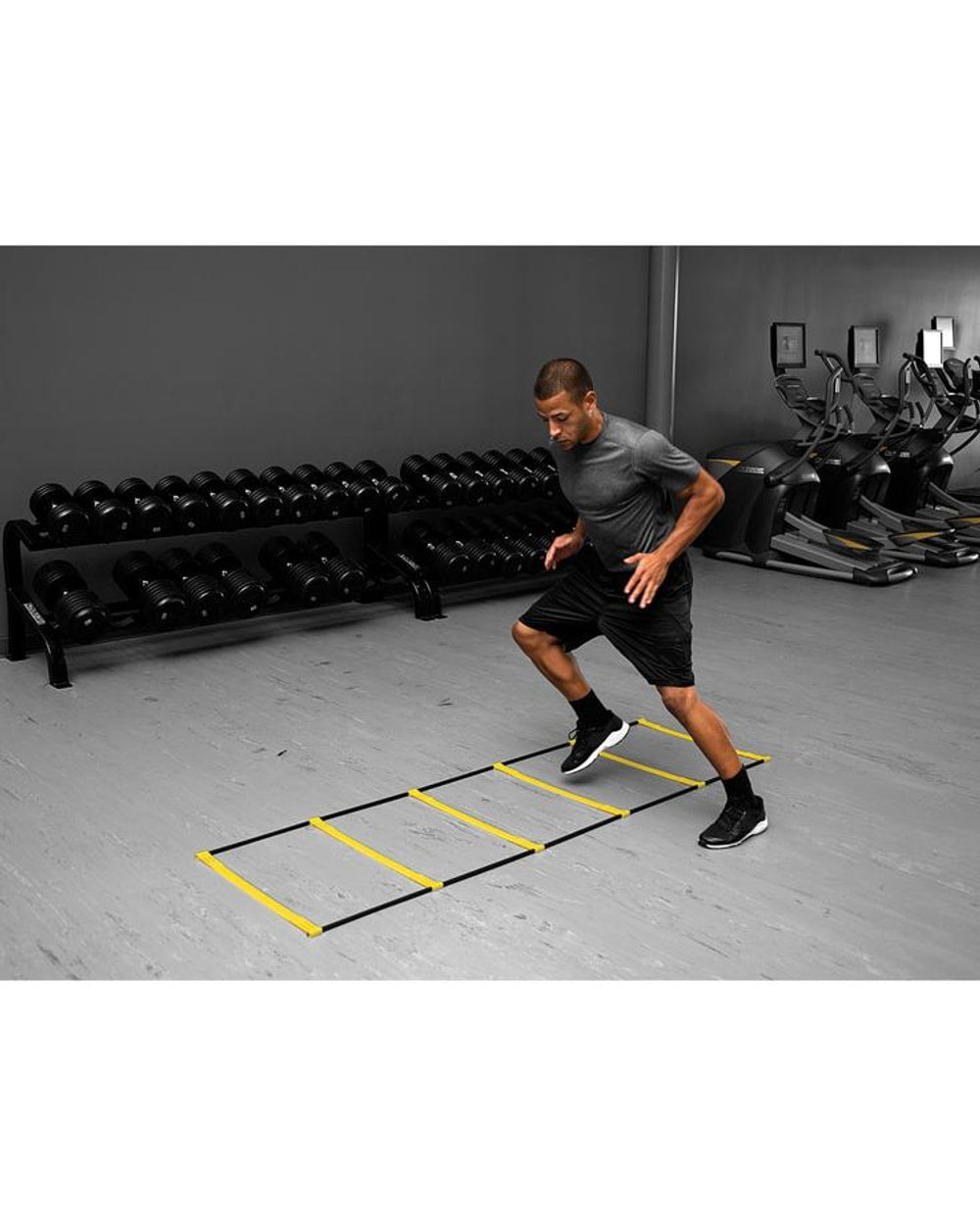 Sklz Elevation Ladder