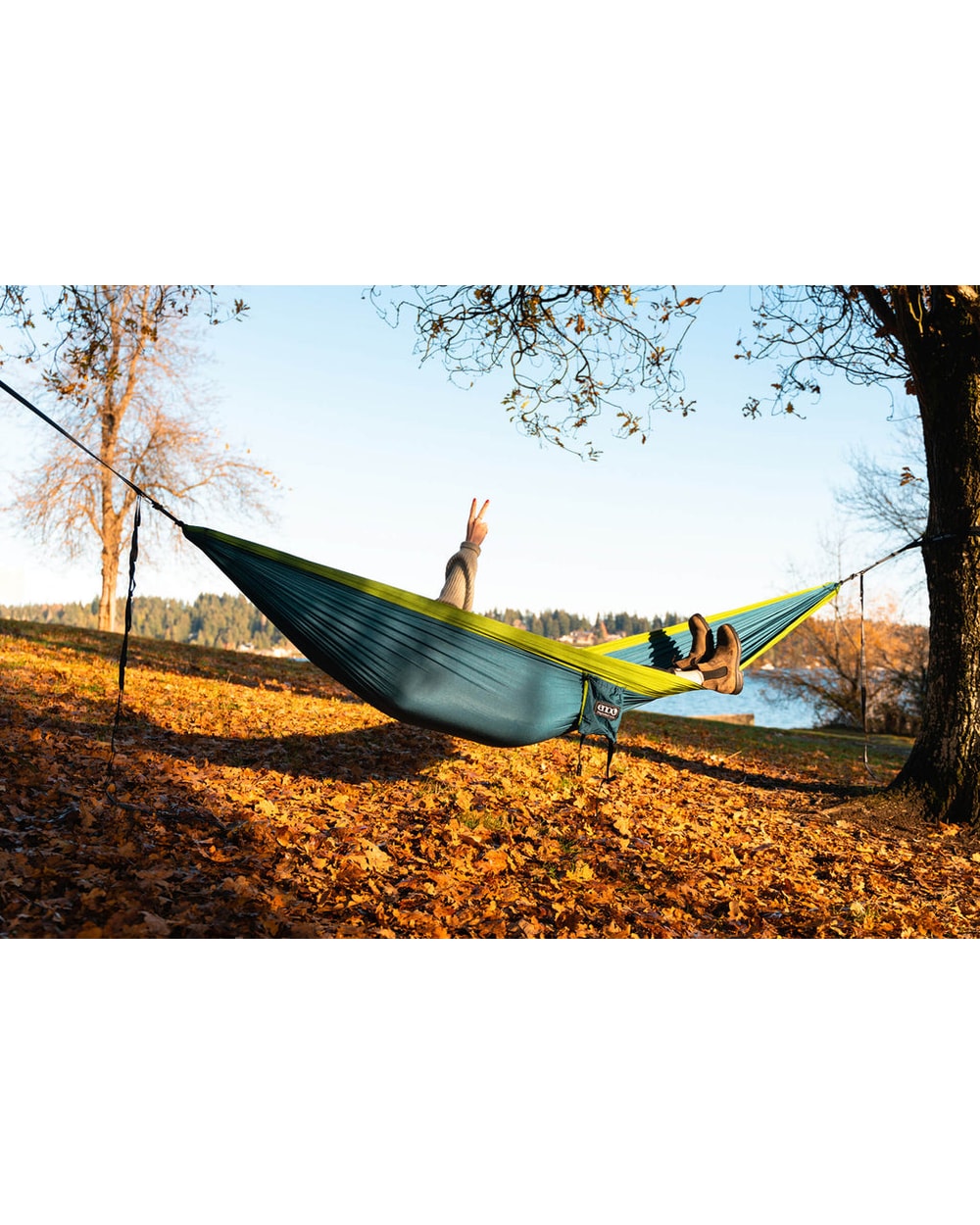 Singlenest Hammock