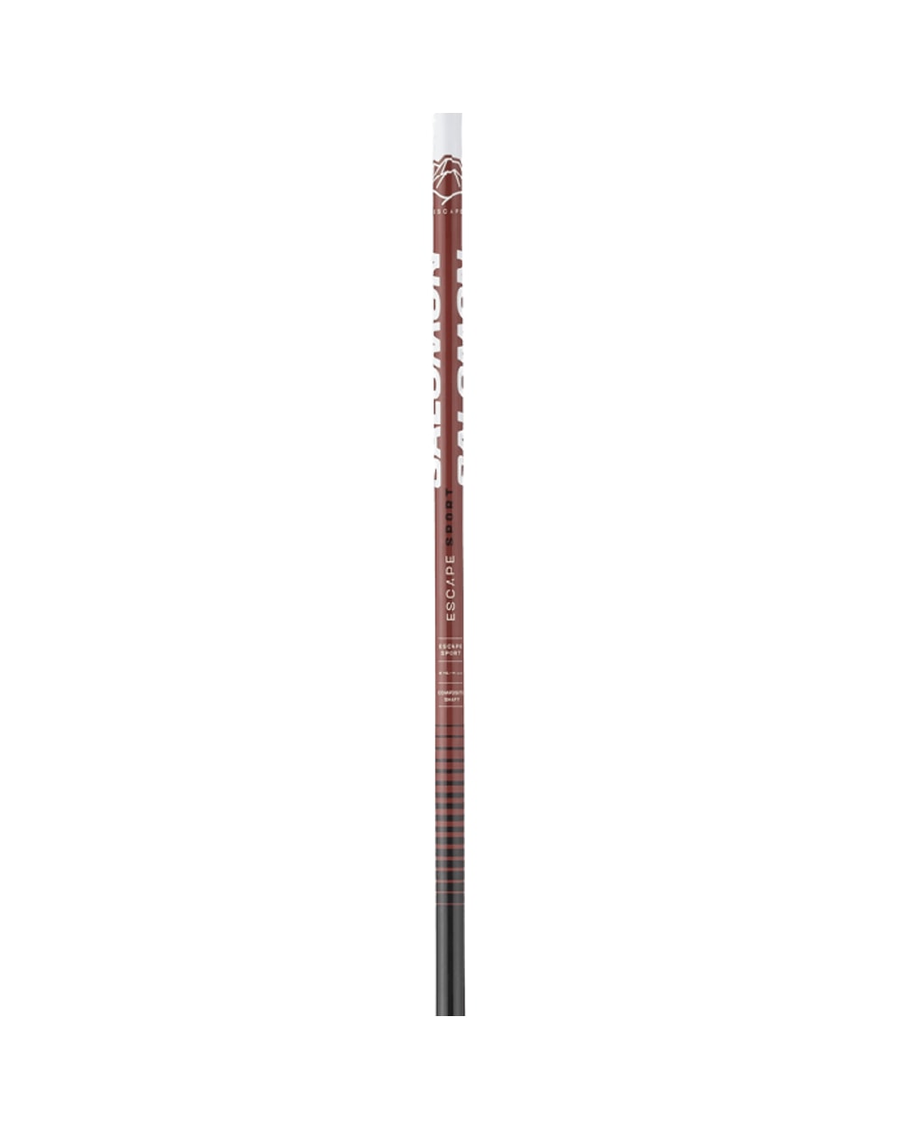 Salomon Escape Sport Cross Country Ski Pole