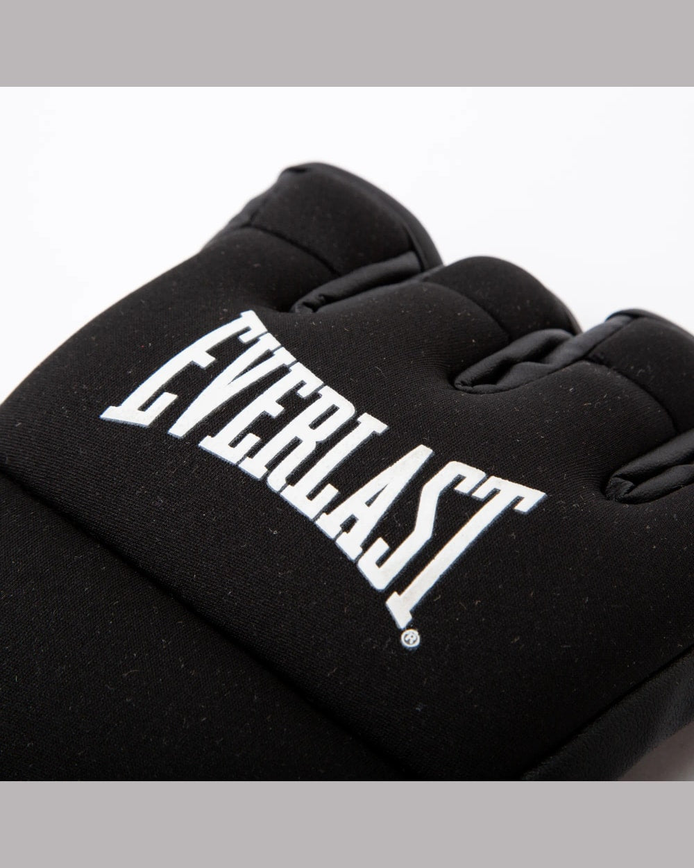 Everlast Powerlock Heavy Bag