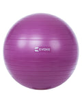 Evoke Exercise Ball (45cm)