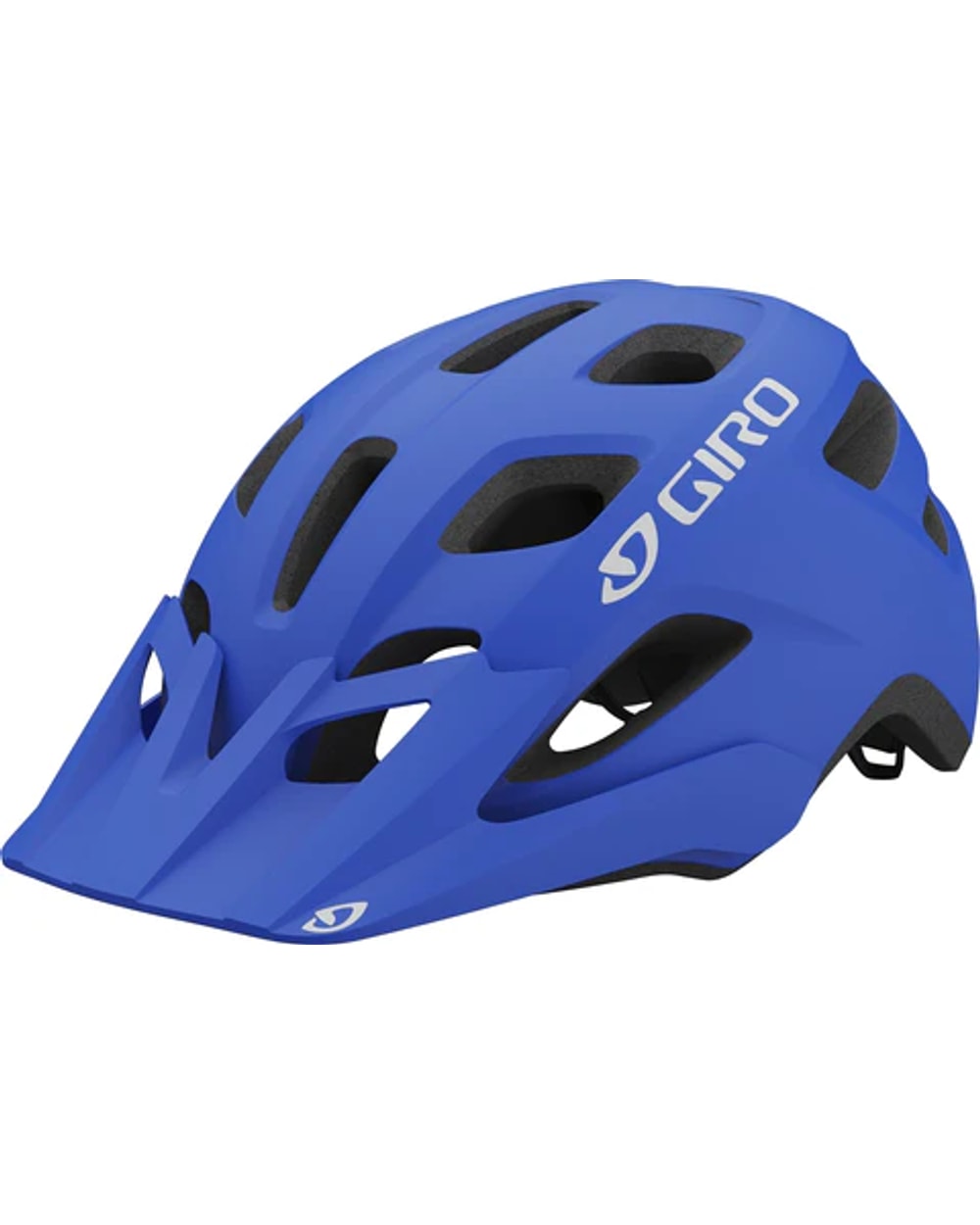 Fixture Mips Helmet