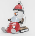 Snowmobile Christmas Ornament- Toronto Raptors