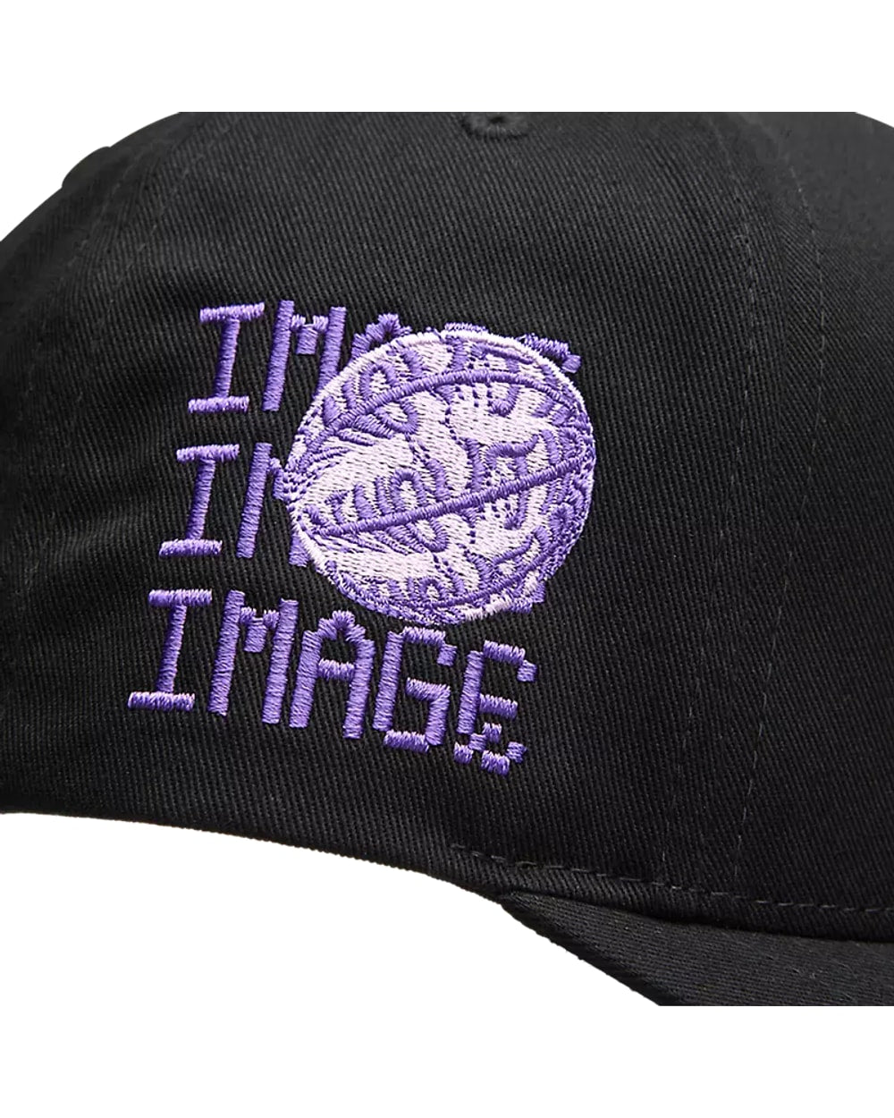 Fox Image Phantom Snapback Hat